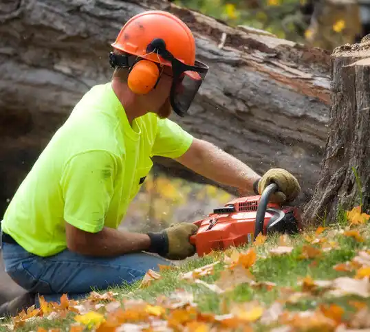 tree services Lake Odessa